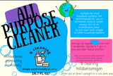 B cleaning all purpose cleaner 16 oz